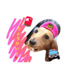 れおちぇ〜るてぃのがむしゃLIFE☆★（個別スタンプ：13）