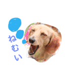 れおちぇ〜るてぃのがむしゃLIFE☆★（個別スタンプ：16）