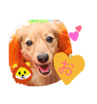 れおちぇ〜るてぃのがむしゃLIFE☆★（個別スタンプ：18）