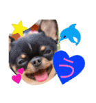 れおちぇ〜るてぃのがむしゃLIFE☆★（個別スタンプ：21）