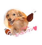 れおちぇ〜るてぃのがむしゃLIFE☆★（個別スタンプ：23）