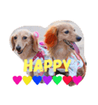 れおちぇ〜るてぃのがむしゃLIFE☆★（個別スタンプ：24）