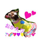 れおちぇ〜るてぃのがむしゃLIFE☆★（個別スタンプ：25）