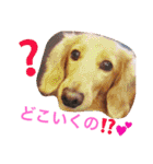 れおちぇ〜るてぃのがむしゃLIFE☆★（個別スタンプ：27）