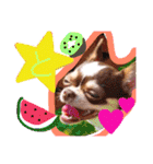 れおちぇ〜るてぃのがむしゃLIFE☆★（個別スタンプ：31）