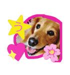 れおちぇ〜るてぃのがむしゃLIFE☆★（個別スタンプ：32）