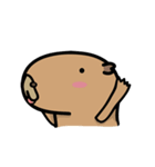 capybara I'm coming（個別スタンプ：1）