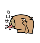 capybara I'm coming（個別スタンプ：7）