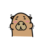 capybara I'm coming（個別スタンプ：13）