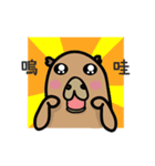 capybara I'm coming（個別スタンプ：16）