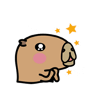 capybara I'm coming（個別スタンプ：17）