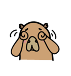 capybara I'm coming（個別スタンプ：19）