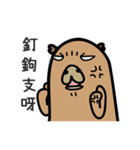 capybara I'm coming（個別スタンプ：23）
