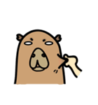 capybara I'm coming（個別スタンプ：24）