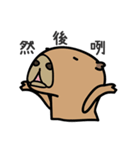 capybara I'm coming（個別スタンプ：28）