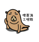 capybara I'm coming（個別スタンプ：31）