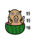 capybara I'm coming（個別スタンプ：32）