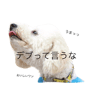 さるたろう（個別スタンプ：6）