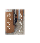 ブスJAPAN 2（個別スタンプ：39）