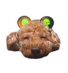可愛いウチの子たち（個別スタンプ：2）