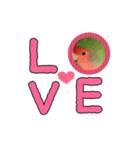ゆかいな鳥族コザクラブラザーズ（個別スタンプ：8）