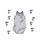 オオカミ兄貴と弟分（個別スタンプ：7）