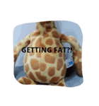 Jiffary the Giraffe stickers（個別スタンプ：5）