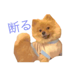 キレポメ（個別スタンプ：23）