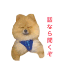 キレポメ（個別スタンプ：30）