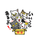 コマツ ミキ（個別スタンプ：8）