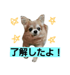 ちまきとリボン（個別スタンプ：2）