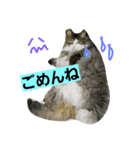 ちまきとリボン（個別スタンプ：4）
