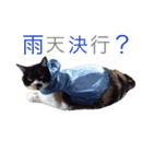 かつおぶし便り（個別スタンプ：2）