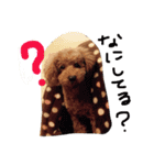 愛娘犬（個別スタンプ：7）