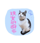 我が家のペッツ（個別スタンプ：23）