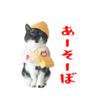 ぱうこりんのスタンプ（個別スタンプ：1）