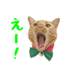 ぱうこりんのスタンプ（個別スタンプ：4）