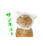 ぱうこりんのスタンプ（個別スタンプ：12）