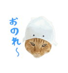 ぱうこりんのスタンプ（個別スタンプ：27）