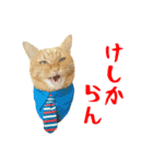 ぱうこりんのスタンプ（個別スタンプ：29）