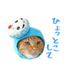 ぱうこりんのスタンプ（個別スタンプ：37）