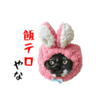 ぱうこりんのスタンプ（個別スタンプ：39）