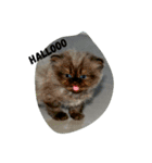 apa luuhh（個別スタンプ：8）
