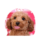 I LOVE MERU（個別スタンプ：1）