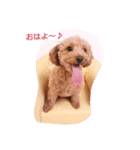 I LOVE MERU（個別スタンプ：2）