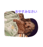 I LOVE MERU（個別スタンプ：3）