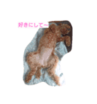 I LOVE MERU（個別スタンプ：5）
