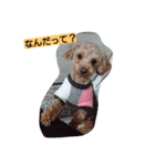 I LOVE MERU（個別スタンプ：6）