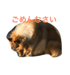 琥珀 だよー（個別スタンプ：2）