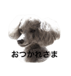 もずく君です（個別スタンプ：8）